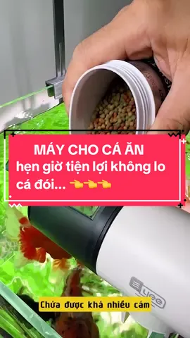Máy cho cá ăn tự động YEE sử dụng pin AA tiện lợi, với các chế độ cài đặt giờ ăn linh hoạt và ngăn chứa cám to giúp anh em an tâm cá mình nuôi không bao giờ bị bỏ đói... #Nuoicaduongtam #nuoicaduongtam #maychocaan #maychocaanhengiotudong #maychocaantudong #maychocaanhengio #yee #phukiencacanh #phukienthuysinh 