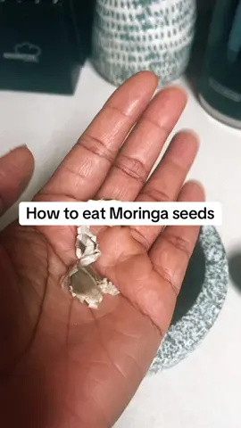 Do you know how to eat Moringa seeds? #moringa #moringaseed #moringaseeds #TTSACL #tiktokshopdealsforyoudays #dealsforyoudays #creatorsearchinsights #backtoschool #summersavings #SummerDeals #tiktokbacktoschool #tiktokshopbacktoschool #fyp #TreasureFinds