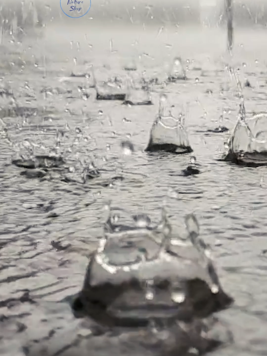 Rainfall Elegance: Slow Motion Raindrops with Gentle Piano Music Immerse yourself in the mesmerizing beauty of rain with our short video capturing raindrops falling on the pavement, creating stunning splashes in slow motion. Accompanied by gentle piano music, this video offers a serene and calming experience. Watch as each droplet creates a beautiful dance on the ground, bringing a sense of peace and tranquility. Perfect for relaxation, meditation, and stress relief, this video will transport you to a place of calm and serenity. ### Hashtags: #Rainfall #SlowMotion #PianoMusic #RelaxingSounds #NatureLovers #Tranquility #RainDrops #CalmAndRelax #SerenityNow #RainyDayVibes #SoothingMusic #InnerPeace #StressRelief #Mindfulness #AmbientSounds #PeacefulMoments #NatureBeauty #SoundNatureSleep #RainSounds #MeditationMusic