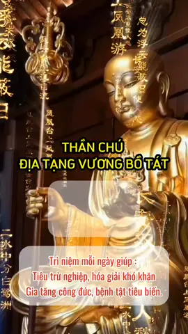 Thần chú Địa Tạng Vương Bồ Tát oai lực vô biên , tiêu trừ nghiệp chướng . 🌸 “Việc thực hành tụng niệm thần chú Địa Tạng Vương đặc biệt có lợi cho những người có vấn đề về sức khoẻ nghiêm trọng, những vấn đề nặng nề, khó khăn về tài chính hoặc đang gặp nguy hiểm như thiên tai, động đất…” – Lama Zopa Rinpoche NAM MÔ ĐỊA TẠNG VƯƠNG BỒ TÁT #diatangvuongbotat #diatangbotat #chudiatangvuongbotat #kinhdiatang #tutaitam #hocphatphap #nammodiatangvuongbotat 