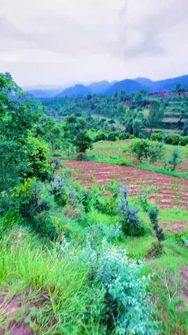 #foryou #foryoupage #lilakha698 