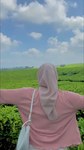 ada yang pernah nyampe puncak ga? rakira memakan waktu berapa jam ya hmm #fyp #alam #kebunteh #kabawetankepahiang #kepahiangmountainvalley #hiling 
