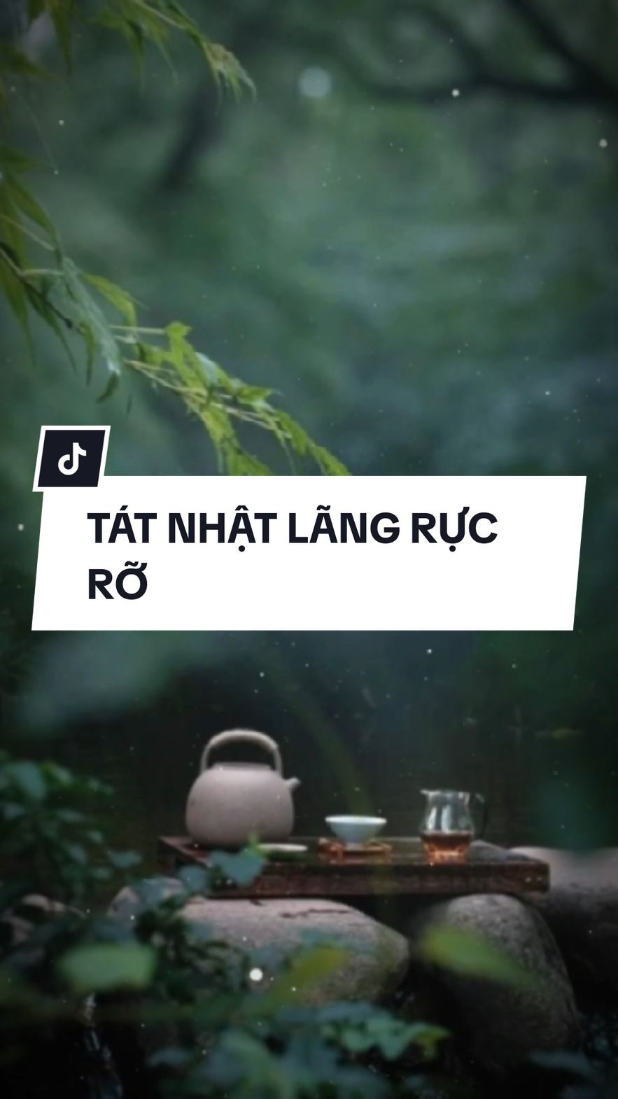 Trả lời @chipngongan Chiều hết lòng rồi đó...!!!#CapCut #xh #dv722004 #trend #capcutmaster #nhachottiktok 