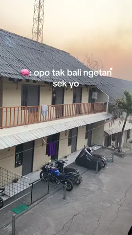 p info loker🙂#fypシ #infolokercikarang #foryoupage #foryou 