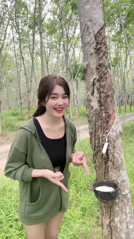 #faa560 #พัทลุง สวนยางข้างบ้านพี่เป็น 100 ไร่บอกอยากไม่อายยยยของใครไม่รู้ขอถ่ายรูปหน่อยนะ🤣🌱🍃☘️🌈🍀#นครศรีธรรมราช 