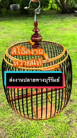 🚌ส่งงานปลายทางบุรีรัมย์ค่ัะ กรงนกเขาสีโอ๊คงานหวายแท้ฝีมือช่าง 📍งานพรีออเดอร์สั่งจองนะคะ #กรงนกเขาใหญ่ #กรงนกเขา #กรงนกเขาราคาถูก #กรงนกเขาใหญ่ราคาถูก #กรงนกเขาใหญ่สวยๆ #กรงนก #กรงนกเขาสวยๆ #กรงนกเขาใหญ่งานฝีมือ #กรงนกเขาใหญ่สีโอ๊ค #กรงนกเขาใหญ่จากแหล่งผลิต #นกเขา #นกเขาใหญ่ #นกเขาใหญ่ต่อดิน #นกเขาชวา #นกเขาใหญ่สายมาเล #นกเขาใหญ่ต่อเพนียด #นกเขาไฟ #นกเขาใหญ่หลิวตัน #นกเขาใหญ่แฟนซีสายกุก #กรงนกเขาสีโอ๊ค 