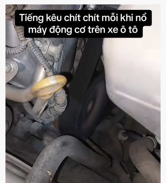 Nguyên nhân tiếng kêu chít chít mỗi khi nổ máy lên trên xe ô tô là gì ? Chia sẻ anh em xem tham khảo ạ#Bach_khoa_bon_banh 