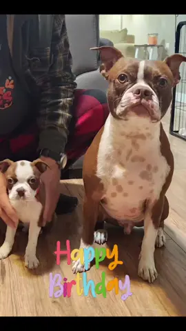 Happy Birthday Rosie!!!!! what an amazing year it has been!!! 