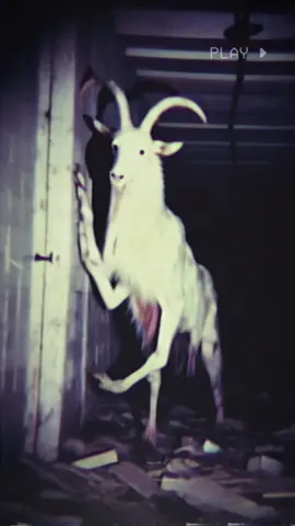 Cursed Basement Nightmares.👁️🌚🖤 #horror #dreamcore #weirdcore #darkfantasy #foryou #parati #darkvibes #flyp #nostalgiacore  #backrooms #darkaesthetic #basment #poolcore #liminalcore #dreamcore #dark #vibes