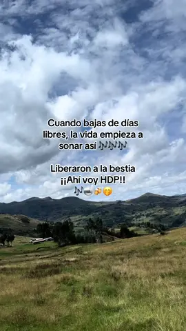 #diaslibres #juerga #relajo #paratiiiiiiiiiiiiiiiiiiiiiiiiiiiiiii #fouryour #MINA #INGENIERO #CERVEZA #proyectox #libertad #viaje #hogar 