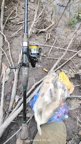 Penting mangkat soal Boncos urusan keri #kalimantantegah  #agroindomas75 