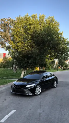 #70#camry