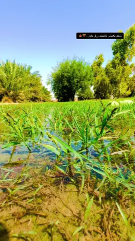 شگد.🍁💙.  تصويري تحت الماء .#عباراتكم_الفخمه📿📌 #عبارات_حزينه💔 #fyp 