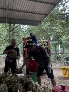 Thời gian trôi nhah nhanh thật😇#saurieng #sauriengthai #daknong 