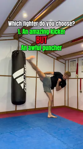 Which fighter do you choose?