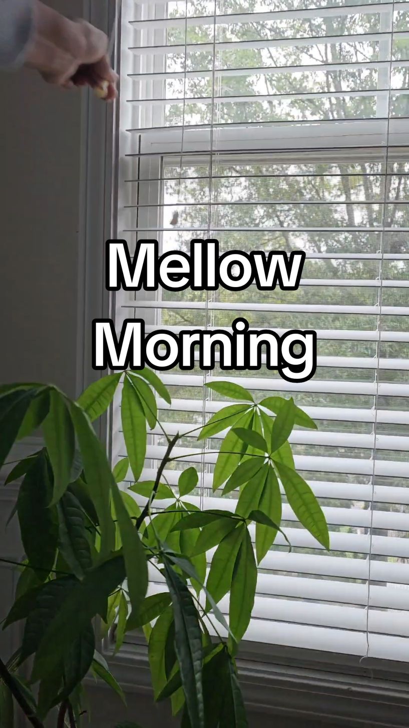 Mellow Saturday Morning🫶🏾 #Saturday #Morning #ditl #minivlog #MomsofTikTok #Lifestyle #coffee 