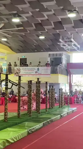 🇸🇬 2024 第二十八届義安城全国舞狮锦标赛：（分区赛） 南狮自选高桩项目  新加坡藝威體育會 A队 Singapore Yiwei Athletic Association  Team A 9.42 ：9.22 [-0.2] 👏👏👏 @JerryyyyyTock @B.chuaaa  #马来西亚 #malaysia #malaysiatiktok #liondance #mualan #tariansinga #barongsai #醒獅 #醒狮 #舞狮 #liondancer #liondanceperformance #liondancecompetition #liondancelife #高桩 #高桩舞狮 #高桩舞狮🦁 #高桩舞狮表演 #舞狮生活 #舞狮比赛 #舞狮表演 #舞狮运动 #liondancemalaysia #liondance2024 #múalan #múalan2024 #lansurong #lansurong2024 #liondancing   #liondancedrum #liondancedruming  #barongsaitiktok #barongsai2024 #传统 #传统文化 #traditional  #台上一分钟台下十年功   #respect #传统器材阵式 #传统南狮器材表演  #新加坡 #singapore #singapura #singaporetiktok #liondancesingapore  #新加坡弘德体育会 #新加坡艺威体育会 #艺威体育会 #艺威 #藝威 #藝威體育會 #yiweisingapore #yiweiteamc #yiwei #艺威体育会a队 #艺威体育会c队 #yiweiteama 