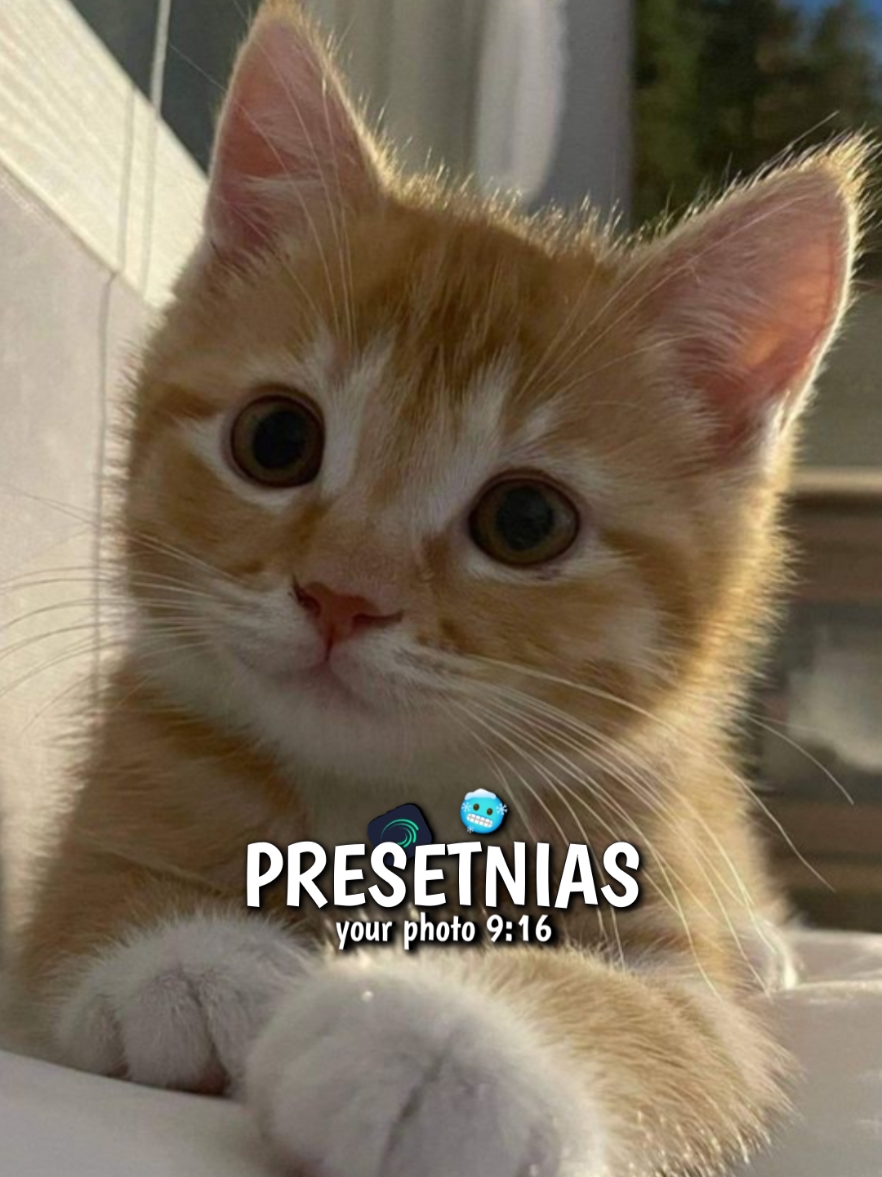 dj nias | intro nou fabu'u #CapCut #presetnias #djnias #lagunias #pulaunias #nias 