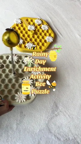 How adorable is this bee puzzle 🐝🍯 Puzzle from: @Mewoofun Pet Supplies 💛 #dogmom #catmom #mentalenrichment #catenrichment #dogenrichment #puzzlefeeder #rainyday #cutepets 