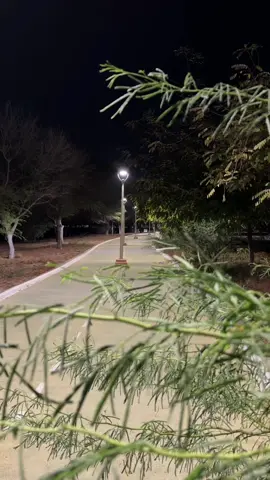 مساء الخير ♥️🕊🥀🥀