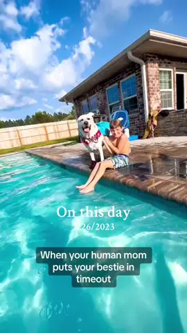 #onthisday Buster refused to leave his Bestie…he was ready to serve time with him!! #dogsoftiktokviral #swimmingdogsoftiktok #bustersworld 