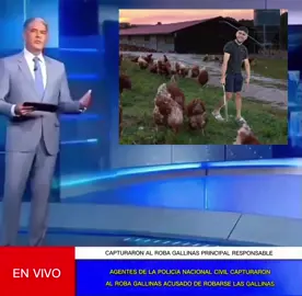#robagallinas #noticiafalsa #JornalFake #CapCut 