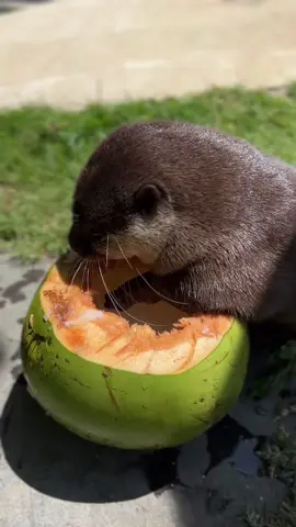 😋