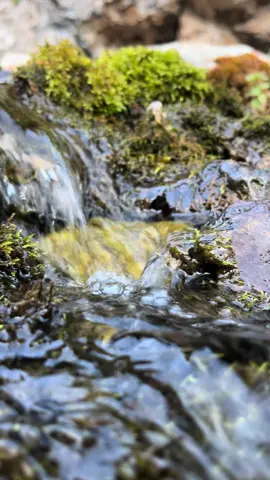 Қисық арасаны😍 Судың әдемі дауысы! Әдемі табиғат!💚 #nature  #elbruso #табиғат  #хочуврек 
