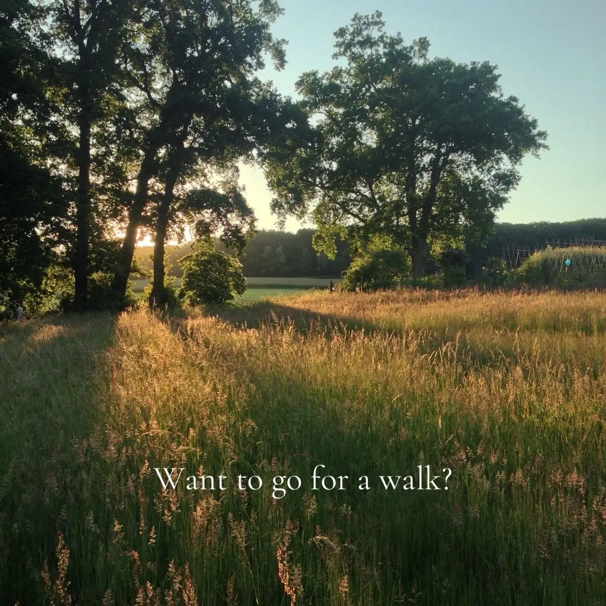 Want to go for a walk? #thenotebook #thenotebookmovie #countryside  