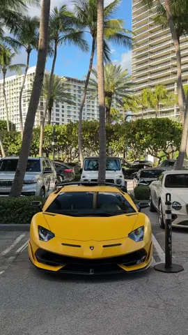 Interesting SVJ🤔#fyp #lamborghini #svj #supercar 