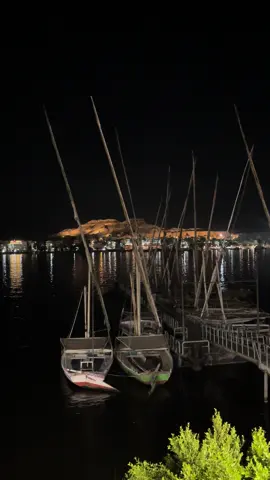 لقصر بليل حاجه تانيه.  #الاقصر_اسوان_سوهاج_قنا #foryou 