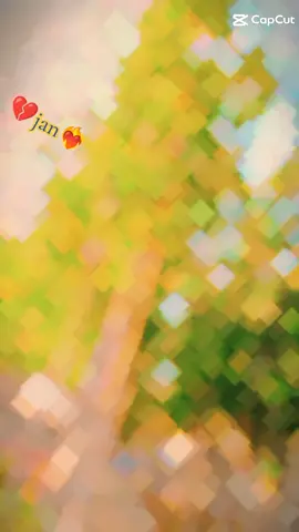 video like to follow ❤️💕💖 TikTok video 📸📸