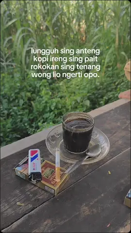 lunggu seng anteng pokok 🗿🗿 #quotestory #storytime #foryou #fyp #fypシ 