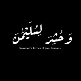 (وحشر لسليمان جنوده من الجن والأنس)  |سورة النمل| #إحمد_عبدالحي♥️  #كرومات_شاشة_سوداء_تصميم  #krumat_quran  #قرأن_كريم_  #إكتب_شيء_تؤجر_عليه❤ 