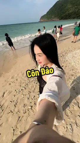 Thả rùa côn đảo 🥰🥰#viral #condaoisland #dulich #dulichvietnam 