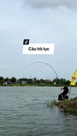 Câu hồ lục và cái kết bị chủ hồ cấ.m câu #chungnguyenfishing #nướcvàngthảomộc 