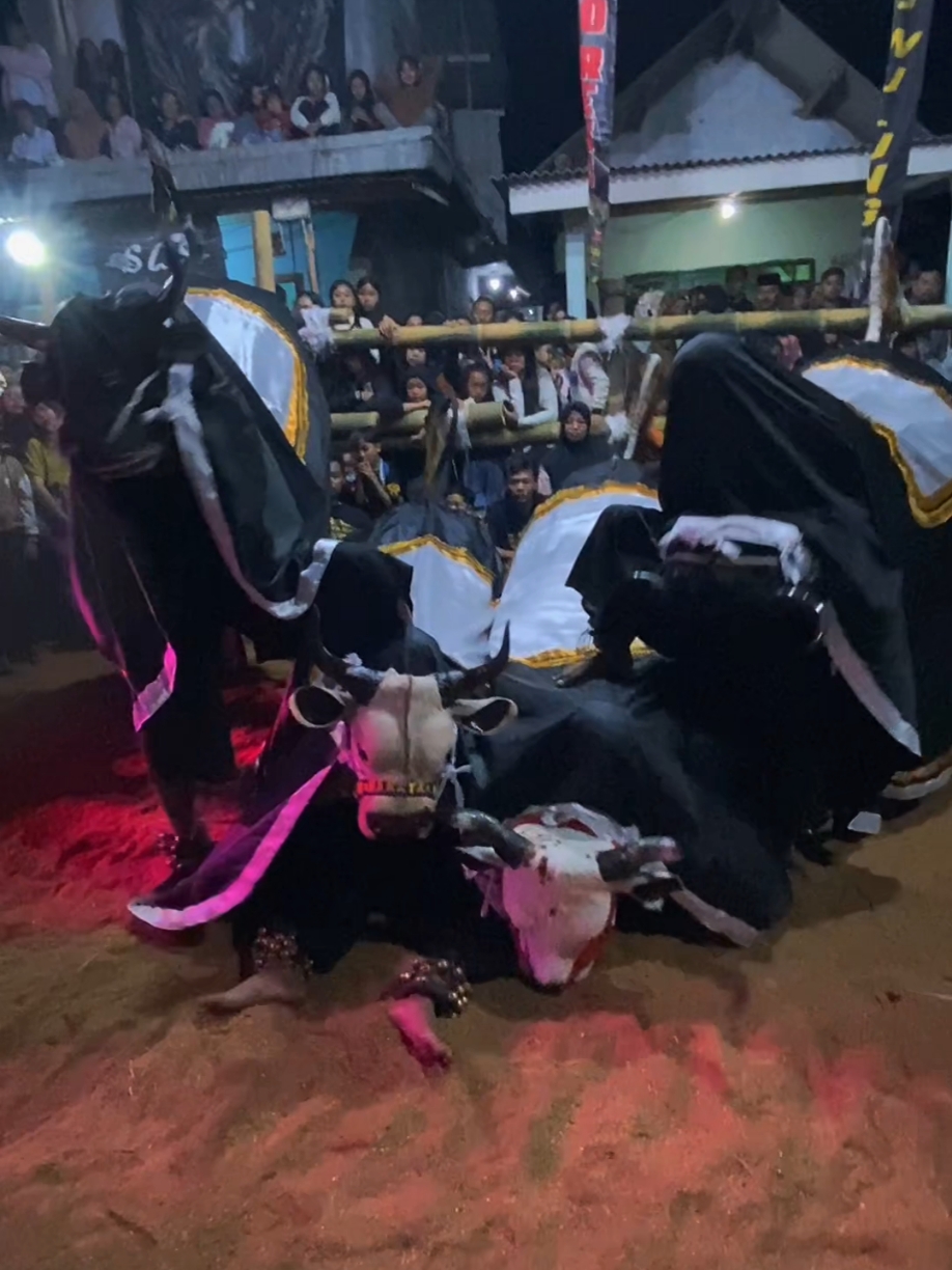 Matursuwun sanget atas undangannya bolo @𝙈𝙖𝙩𝙖𝙙𝙤𝙧 𝘼𝙨𝙞𝙖 dan sambutan yang meriah warga jeru tumpang🫸🫷 #kamandaka2k24 #pasukannoyolnoyol #kesenian #kesenianjawa #keseniantradisional🇮🇩  #brangwetan #pmberottt🦬 #fyp #fypシ #fypシ゚viral #zyxcba 