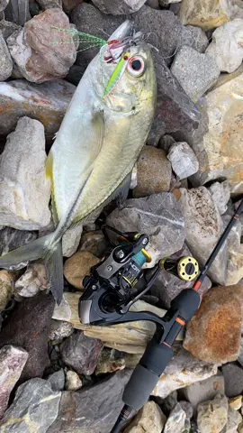 Umpan boleh sama 🗿 #babygt #casting #ultralight #rapalakeranga 