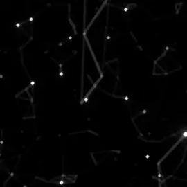 من العقيدة السفارينية 🖤 #الاثر #تصميمي #مسلم #سني #اثري #السلف_الصالح #حنبلي #احمد_بن_حنبل #امام  #عبدالله_بن_احمد #الحنابلة 