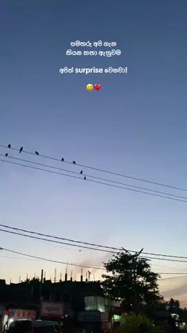 මට සිතන්න බෑ අදහා ගන්න බෑ...!!😅confused🫠 #පිට්_තමා👍 #fyyyyyyyyyyyyy 