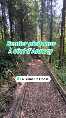 Super experience à decouvrir en famille !  La ferme de chasal un endroit niché dans la nature qui propose un sentier pieds nus ! Parfait pour se reconnecter avec la nature ! Tout le monde a ADORÉ !! Nous y reviendrons avec plaisir ! Il y a aussi une petite ferme où l’on peut caresser les lapins et les ânes ! #sentierpiedsnus #annecy #baladeenfamille #sensoriel #foret 