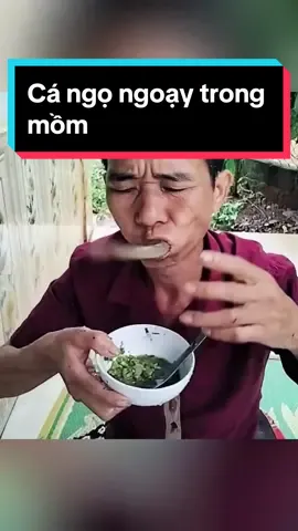 Cá ngọ ngoạy trong mồm bác kìa #cánhảy #pịatâybắc #amthuc102 #foryou #mónngon #cánhảytâybắc 