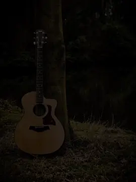 ~ emotion <<🥹✨🎸🫶😻 #your________janu #foryoupage #foryou #capcat #myderem 