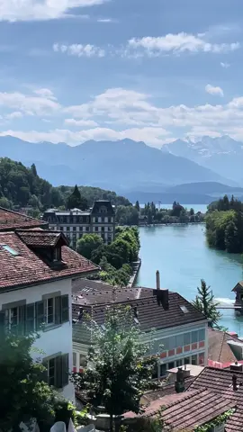 📍Thunersee, Switzerland 📸.                                                  #nature #photography #naturephotography #travel #world 