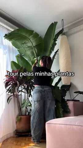Vcs pedem e eu faco, hj o tour é diferente 🥬🥬 #plantas #casanova #diariodereforma #decor #DIY #organizacao #garimpo #apartamento 