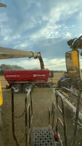 View from the cab New Holland CR11💛 #newholland #newhollandcr11 #cr11 #combine #harvest #harvest2024 #zne2024 #spinar24hd #agriculture #agroboy 