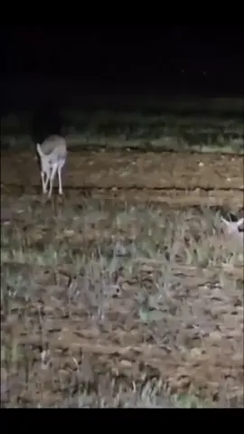 #لایک #لەبیرمەکەن #ئەکتیڤبن🥀🖤ـہہـ٨ــہ 