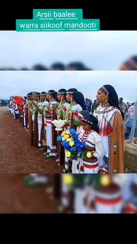 #@B͟E͟E͟K͟A͟N͟  A͟R͟S͟I͟I͟🦅 #tirriioromooarsii #seenaa #Arsii #jawarmohammed #oromotiktok❤️💚❤️ #ethiopian_tik_tok #cute #tiktok #WhereToEat #ancient_history_of_oromoo #finfineehandhuraoromootii #africantiktok #oromoculture 