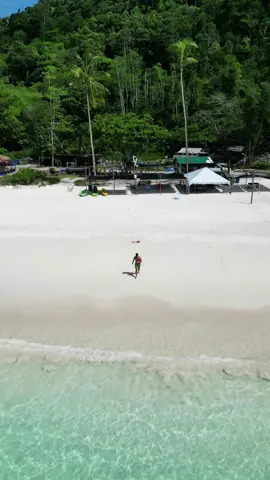 l’île de la tranquilité 🏝️ #malaysia #redangisland #turtle #travel #nature #beachvibes 