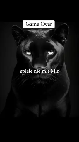 Game Over#sprücheundzitate #sprüche #foryou #viralllllll 